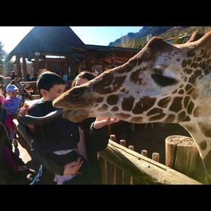 Meet your Posher, Alana